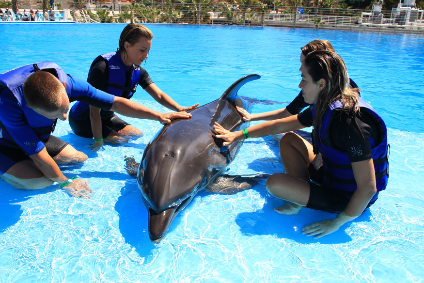 DELFINES